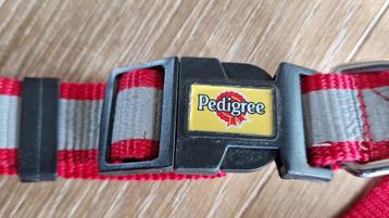 Hondenriem Pedigree beschikbaar voor biedingen