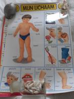 6 oude geplastifceerde schoolposters, Ophalen, Gebruikt