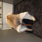 krukje (bankje ) inc  rendierhuid, Huis en Inrichting, Ophalen, Zo goed als nieuw