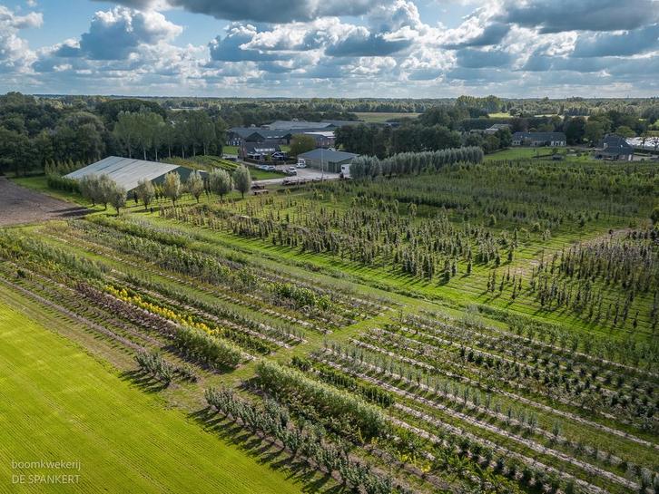 Teeltmedewerker, Vacatures, Vacatures | Landbouw, Natuur en Milieu, Overige niveaus, Tijdelijk contract, 33 - 40 uur