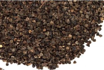 Boekweitkaf - boekweitdoppen - boekweit - kussenvulling beschikbaar voor biedingen