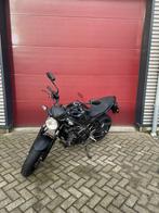 Suzuki SV650 ABS 2022 bijna nieuw en mega goedkoop, Ivo@technoservicehoogendijk.nl, Jan Tinbergenstraat 8-b
2811DZ  Reeuwijk, NL