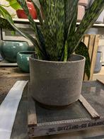 Grote betonnen pot, Tuin en Terras, Bloempotten, Ophalen, Zo goed als nieuw, Rond, Minder dan 25 cm