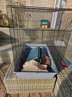 Hamster/ knaagdieren kooi, Dieren en Toebehoren, Ophalen, Zo goed als nieuw, Metaal, Vogelkooi