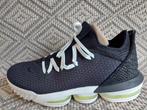 Nike LeBron 16 Maat 45, Ophalen of Verzenden, Zo goed als nieuw, Jordan, Sportschoenen