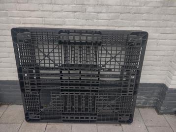 Kunststof pallets  beschikbaar voor biedingen