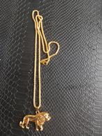 Verschillende goud kleurige kettingen, Ophalen of Verzenden, Goud, Overige materialen