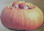 Anne Geddes nr. AGL12 - kinderen in pompoen - 1996 - nieuw, Verzamelen, Ansichtkaarten | Themakaarten, Verzenden, 1980 tot heden
