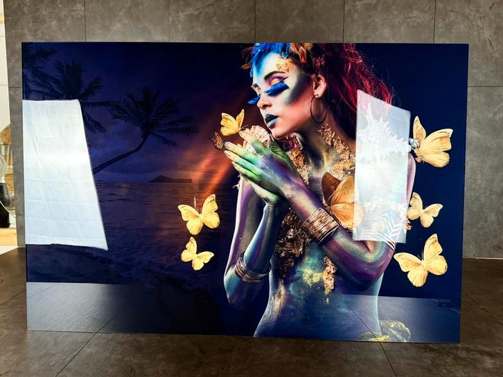 Luxe Vlinder Lady plexiglas schilderij met glitter afwerking, Antiek en Kunst, Kunst | Schilderijen | Abstract, Ophalen of Verzenden
