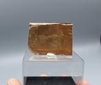 Tetraphlogopiet - Apatit Mine, Savo, Finland, Ophalen of Verzenden, Mineraal