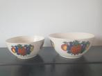 Vintage kommen met heldere afbeelding fruit, Huis en Inrichting, Keuken | Servies, Ophalen of Verzenden, Overige stijlen, Kom(men)