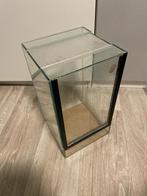 Terrarium (voor wandelende tak, insecten, spinnen), Wandelende tak