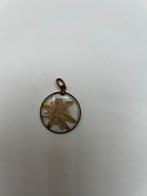 Vintage hanger met Edelweiss onder glas, Gebruikt, Bloem of Plant, Goud, Glas of Kristal