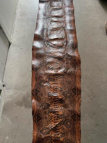 Slangenleer Huid - Prachtig Patroon beschikbaar voor biedingen