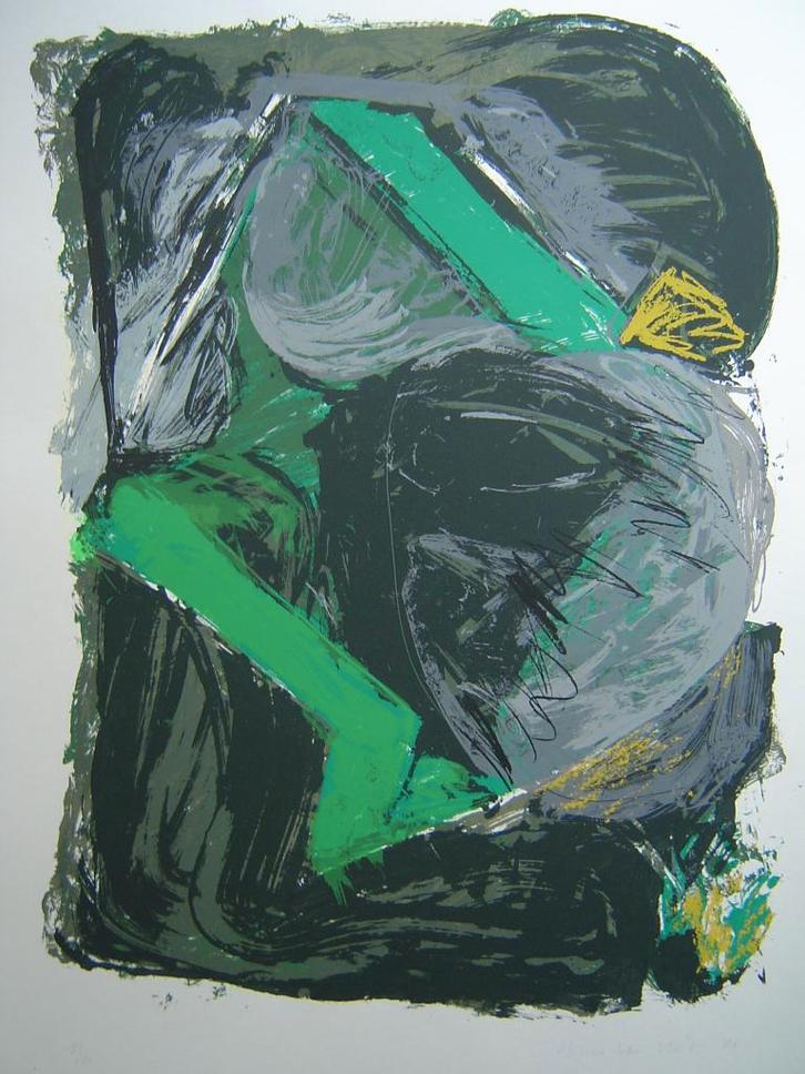 zeefdruk van Nico van Vliet, Antiek en Kunst, Kunst | Litho's en Zeefdrukken, Ophalen of Verzenden