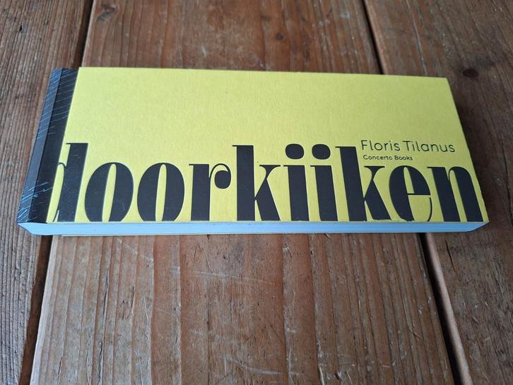 Doorkijken - Floris Tilanus - 9789493109469, Boeken, Literatuur, Zo goed als nieuw, Nederland, Ophalen of Verzenden