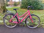 Santos Travel Lite Rohloff D53, Fietsen en Brommers, Versnellingen, Ophalen, Overige merken, 53 tot 56 cm