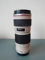 Canon EF 70-200 mm f/4 L USM lens, Telelens, Gebruikt, Ophalen of Verzenden, Zoom
