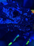 HYDROZINKIET TURKIJE (=UV), Ophalen of Verzenden, Mineraal