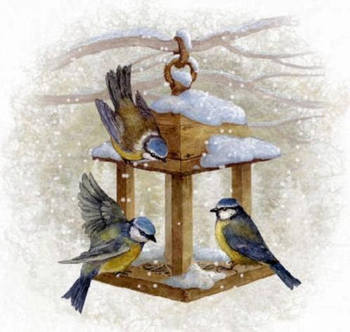 Borduurpatroon Pimpelmeesjes in de sneeuw, Hobby en Vrije tijd, Borduren en Borduurmachines, Nieuw, Patroon, Handborduren, Verzenden