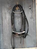 2 hoofdstellen lak, Dieren en Toebehoren, Paarden en Pony's | Hoofdstellen en Tuigage, Ophalen, Zo goed als nieuw, Dressuur