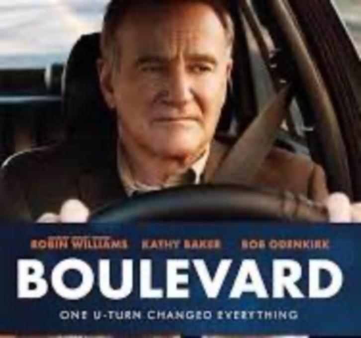 Boulevard dvd met robin Williams, Cd's en Dvd's, Dvd's | Drama, Zo goed als nieuw, Drama, Vanaf 16 jaar, Ophalen of Verzenden