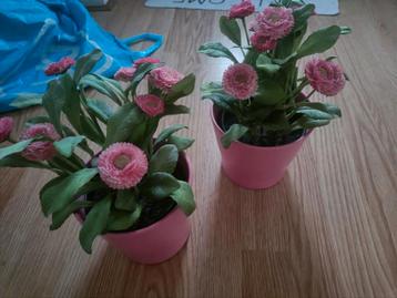 Roze bloempotjes met kunstplant beschikbaar voor biedingen
