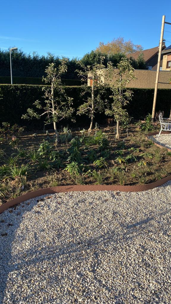 30 jaar oude perenbomen en appelbomen te koop., Tuin en Terras, Planten | Bomen, Overige soorten, Volle zon, Zomer, Ophalen