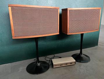Bose 901 speakers IV 4 serie met controller trompetvoeten beschikbaar voor biedingen