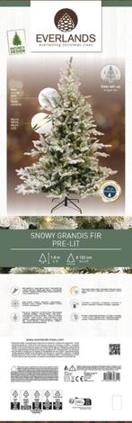 KERSTBOOM EVERLANDS SNOWY GRANDIS FIR, Ophalen, Nieuw