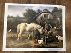 Prent/poster Feeding time by W.Hunt, Ophalen of Verzenden, Gebruikt, Dier, Prent