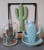 Cactus set, Ophalen of Verzenden, Zo goed als nieuw