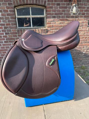 Amerigo HC Pinerolo Springzadel beschikbaar voor biedingen