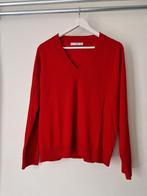 Nieuwe Mango trui mt L, Kleding | Dames, Mango, Maat 42/44 (L), Nieuw, Ophalen of Verzenden