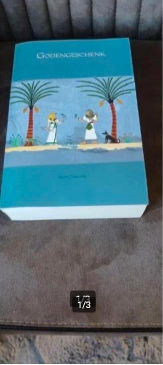 Godengeschenk Anna Mulder, Boeken, Romans, Zo goed als nieuw, Ophalen of Verzenden