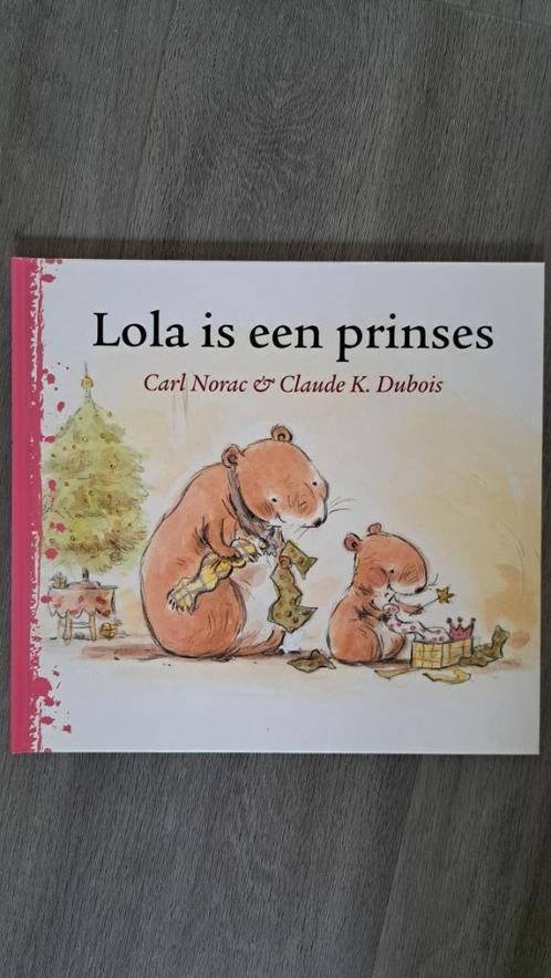 Kleine ijsbeer, Villa Fien, Maartje Meermin, Bobbi, Boeken, Kinderboeken | Jeugd | onder 10 jaar, Zo goed als nieuw, Fictie algemeen