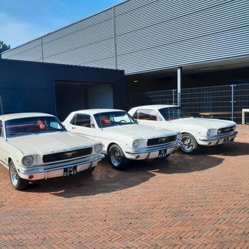 Trouwauto's te huur ford mustang zelf rijden! beschikbaar voor biedingen