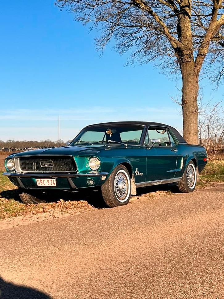 Gezocht blazer k5, Pickup, Amerikaan okdtimer, Auto's, Oldtimers, Bedrijf, Ford USA, Automaat, Achterwielaandrijving, Ophalen