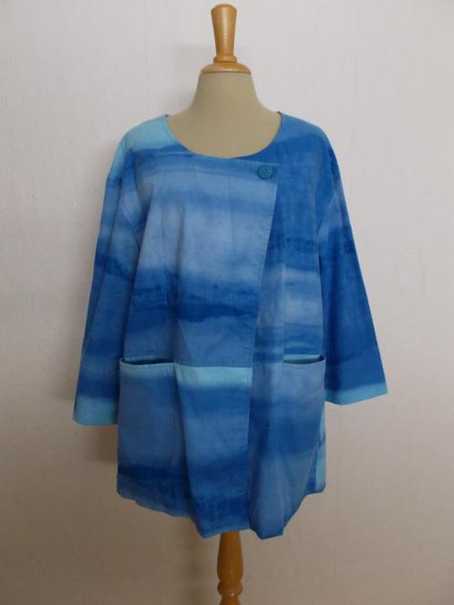 Voor de verzamelaars een echte Wim van der Doef! L, Kleding | Dames, Tops, Zo goed als nieuw, Maat 46/48 (XL) of groter, Blauw