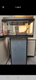 Te koop een aquarium met toe behoren, Dieren en Toebehoren, Vissen | Aquaria en Toebehoren, Ophalen of Verzenden, Zo goed als nieuw