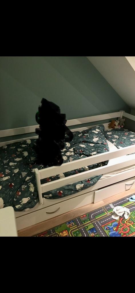 Kinderbed Jip flexworld met laden en uitvalbescherming, Kinderen en Baby's, Kinderkamer | Bedden, Gebruikt, 180 cm of meer, 85 tot 100 cm