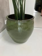 Aardewerk pot, Tuin en Terras, Ophalen, 40 cm of meer, Rond, Zo goed als nieuw