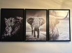 Drie canvas schilderijen dieren, Huis en Inrichting, Woonaccessoires | Schilderijen, Tekeningen en Foto's, Ophalen, Minder dan 50 cm
