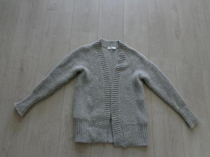 mooi grijs damesvest van BY-BAR, maat L, Kleding | Dames, Truien en Vesten, Gedragen, Maat 42/44 (L), Grijs, Ophalen of Verzenden