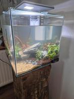 30 liter aquarium met toebehoren, Dieren en Toebehoren, Vissen | Aquaria en Toebehoren, Ophalen, Zo goed als nieuw, Filter of Co2