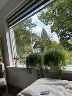 Duo rolgordijn, Ophalen, Zo goed als nieuw, 200 cm of meer, Grijs