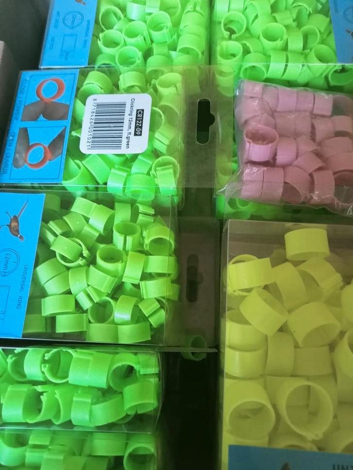 Partij kippen pluimvee voetringen 1000 stuks 12/18mm, Dieren en Toebehoren, Pluimvee, Kip, Meerdere dieren