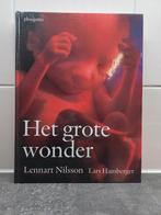 Lars Hamberger - Het grote wonder, Boeken, Zwangerschap en Opvoeding, Zwangerschap en Bevalling, Ophalen of Verzenden, Zo goed als nieuw