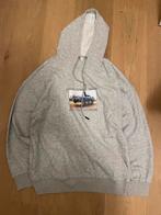 Supreme Hoodie Beijing DSM - Nieuw!, Kleding | Heren, Truien en Vesten, Ophalen of Verzenden, Grijs, Supreme, Maat 56/58 (XL)