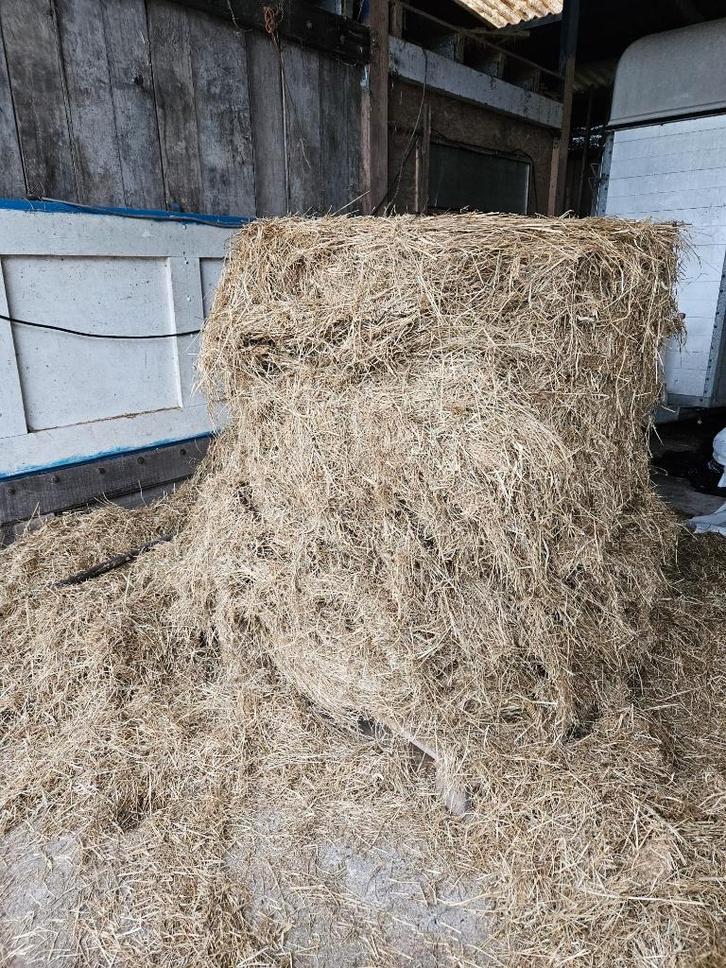 Ronde kuilbalen, Dieren en Toebehoren, Dierenvoeding, Vee, Ophalen